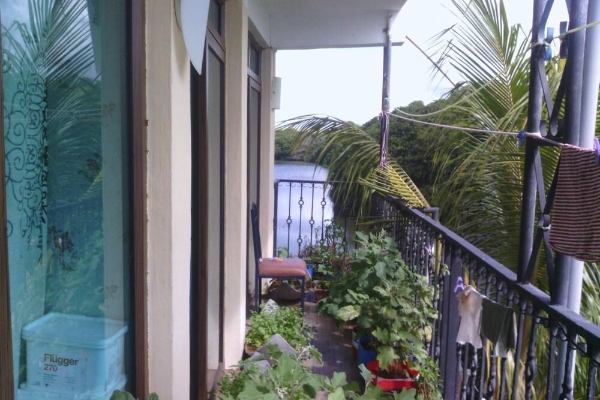 Hotel Le Bamboo (Mahébourg)
